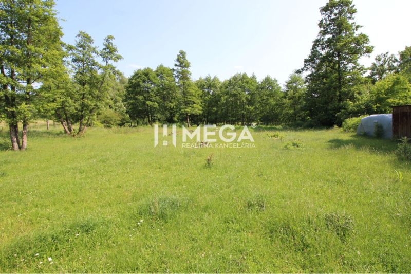 Greenery and trees on residential plots in Ptičie.