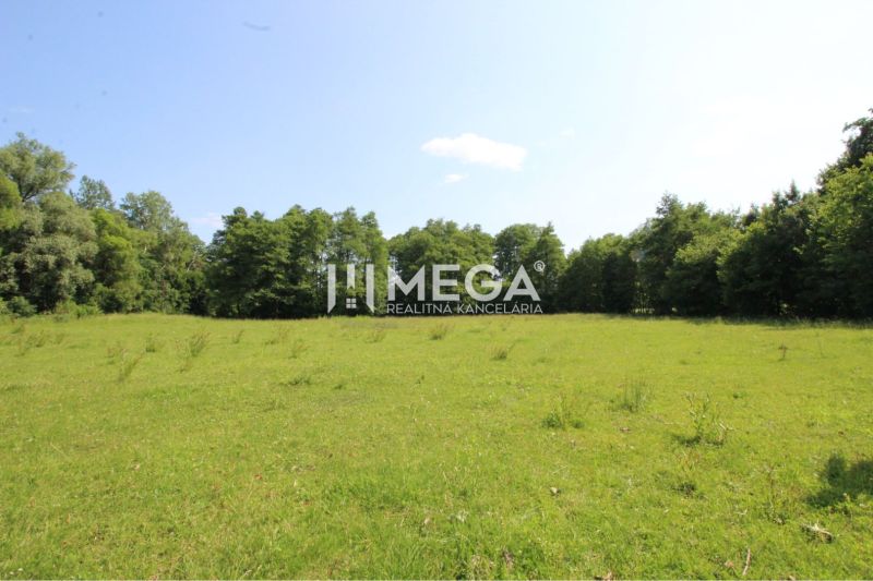 Green residential plots in the village of Ptičie surrounded by trees and a blue sky.