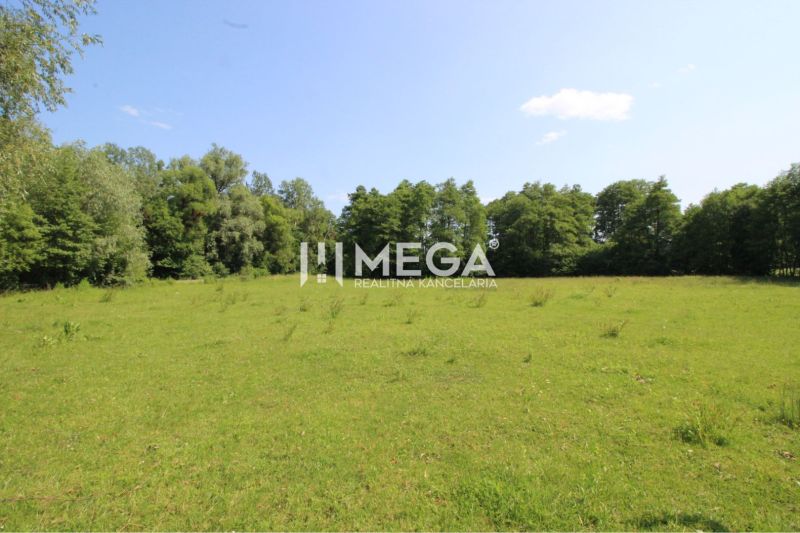 Plots - living in Ptičí: green meadow surrounded by trees, clear sky.