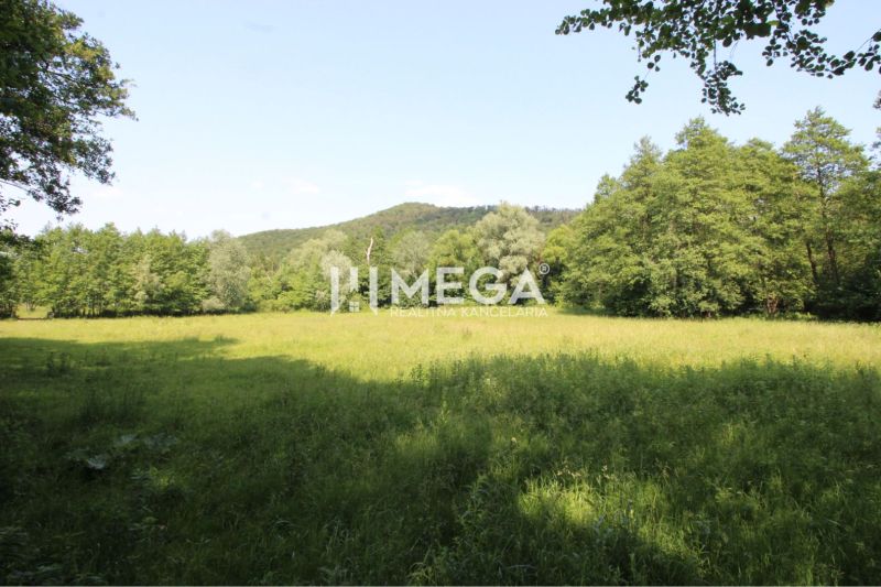 Zeleň in Ptičom offers plots - living surrounded by forest and grassy areas.