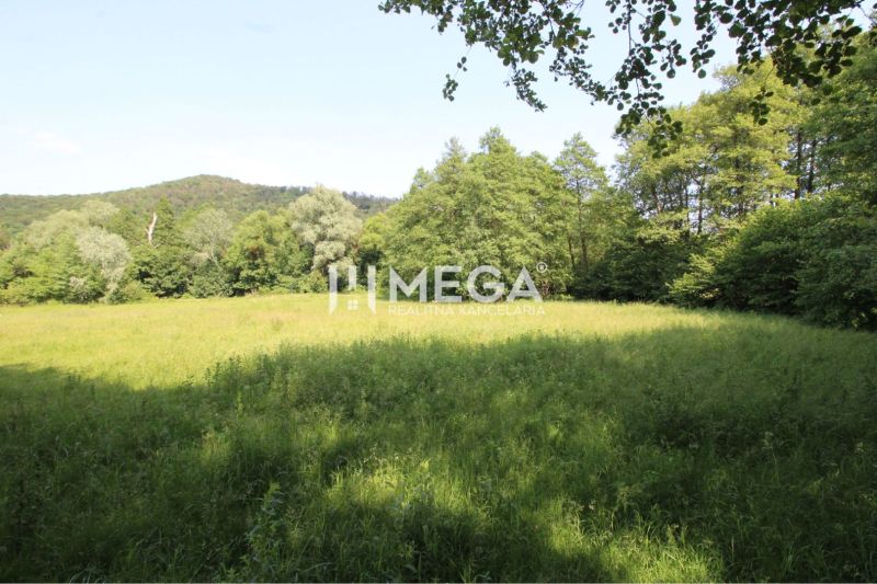Greenery, trees, and meadow on plots in Ptičie suitable for living.
