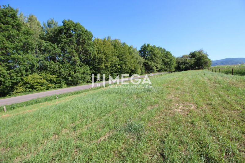 Greenery and road on residential plots in Snina on Hámorská Street.