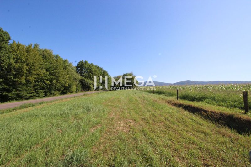 Plots - housing on Hámorská Street in Snina surrounded by nature, suitable for construction.