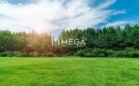 Gardens in Humenné with the 