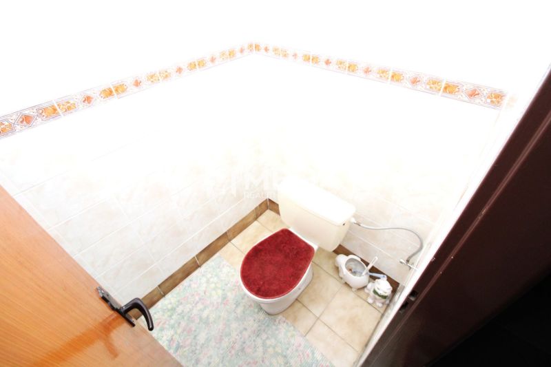 A toilet in a family house with a rug and decorative wall tiles.