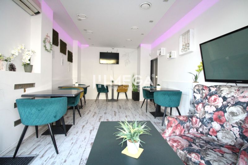 Gastro premises with decorative plants, colorful chairs, and a wooden decor floor.