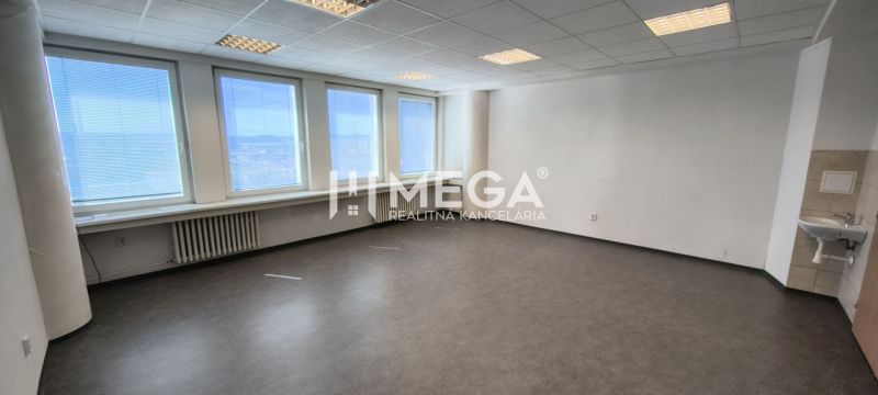 Spacious offices with multiple windows and wood-patterned flooring.