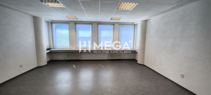 Offices with wood-patterned flooring and large windows for natural light.