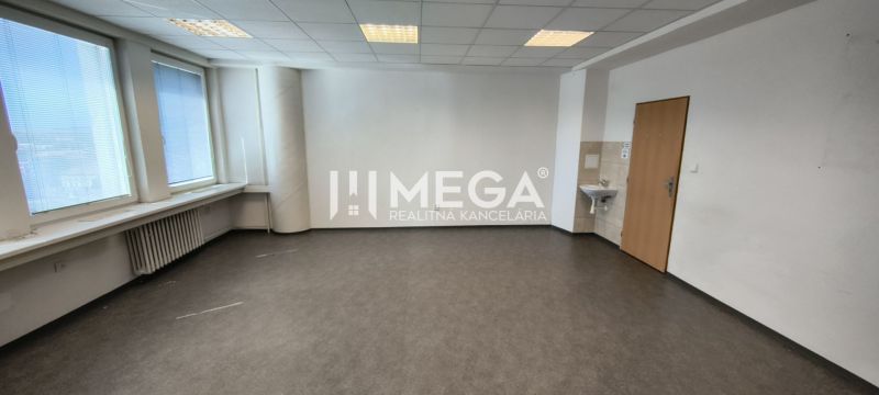 Spacious office with wood-patterned flooring, a sink, and large windows.