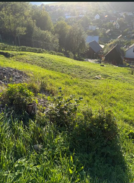 A garden on Košecké Podhradie Street suitable for living, with a beautiful view of the village.