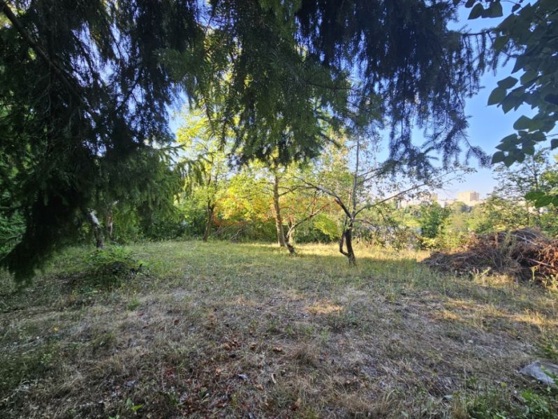 The garden on Šípková Street in Košice, in the district of Krásna, with dense greenery and trees.