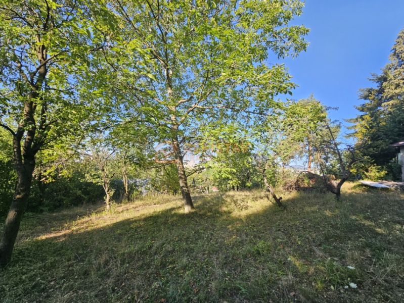 Gardens on Šípková Street in Košice, the Krásna district, full of green trees.