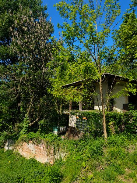 A cottage surrounded by trees and greenery in the gardens on Šípková Street, Košice - Krásna district.