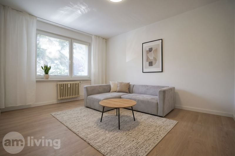 Living room in a studio apartment with a sofa, carpet, and wooden decor flooring.