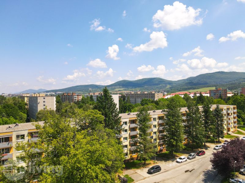 View of residential buildings surrounded by greenery on Trenčianska Street in Nová Dubnica.