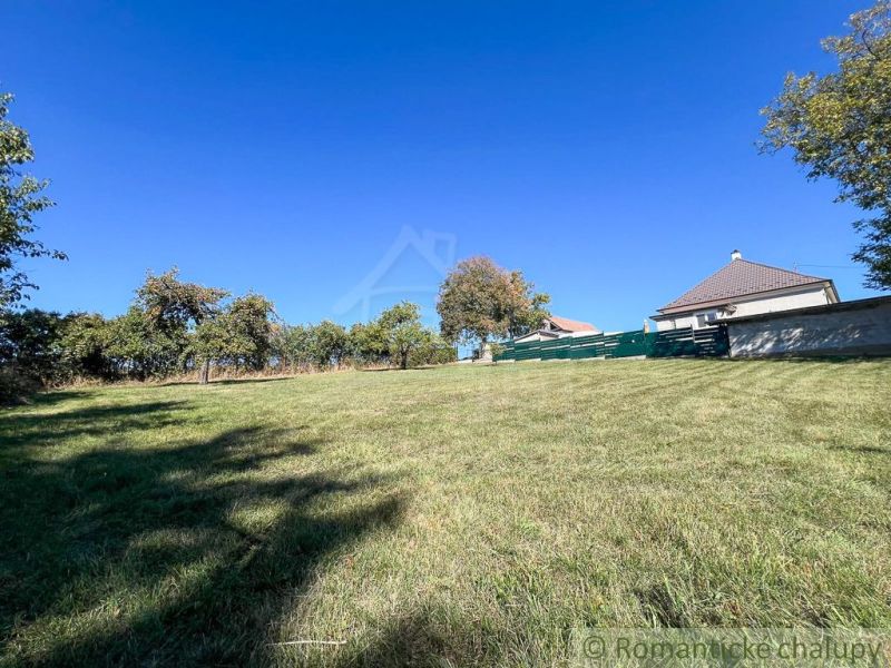 A grassy area and trees in the garden in Pastuchov under a blue sky.