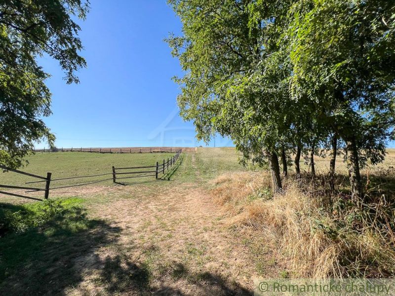 A dirt road with trees and a wooden fence in the Pastuchov Gardens on a sunny day.