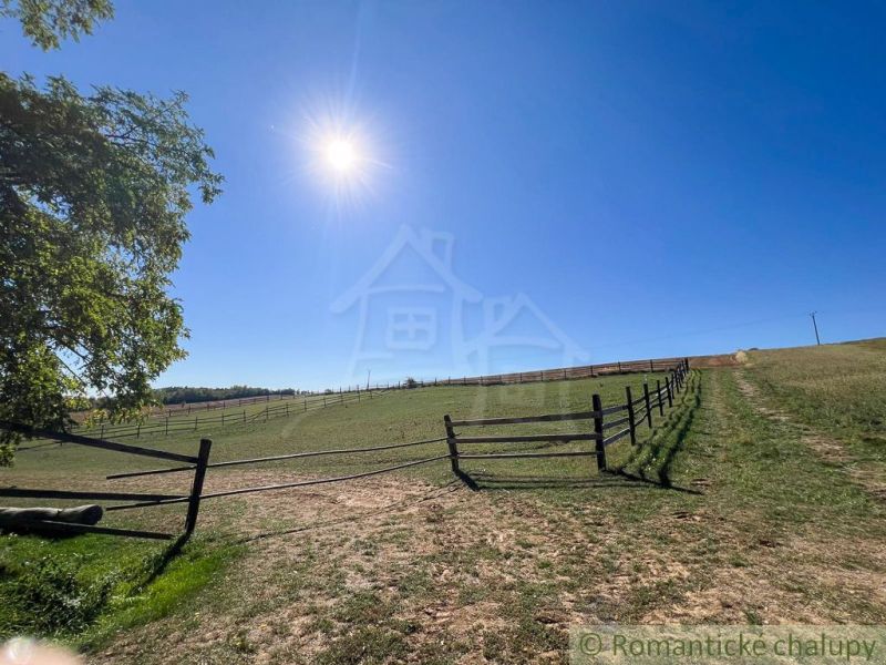A sunny day in the gardens of Pastuchov with a fence and lush nature.