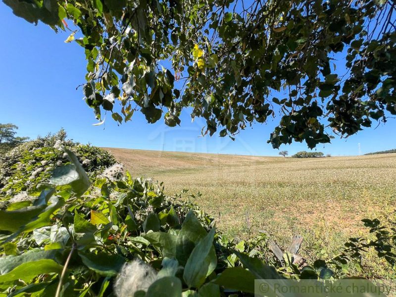 Fields and trees surrounded by greenery in the Gardens near Pastuchov under the blue sky.