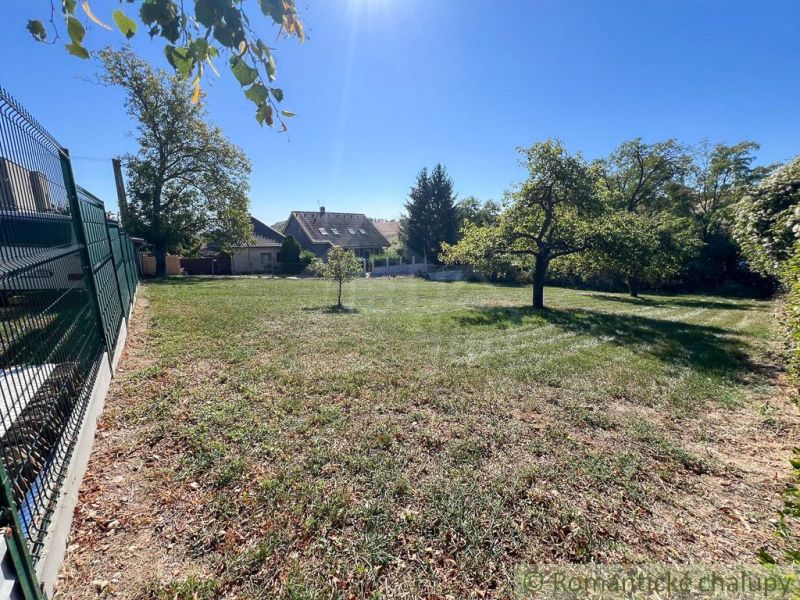 A garden in Pastuchov with a lawn, trees, and fencing on a rural street.