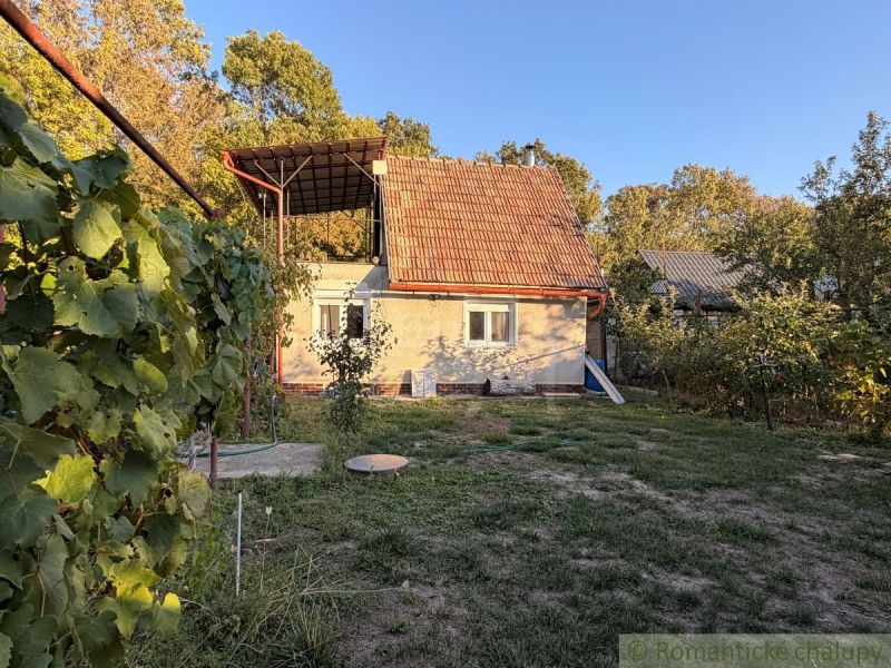A cottage in Nové Zámky with a terrace, surrounded by nature and vineyards against the backdrop of a forest.