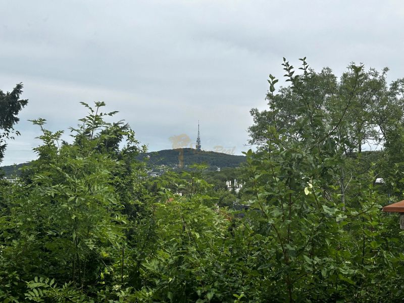A view of the TV tower surrounded by greenery in Bratislava on Drotárska Road.