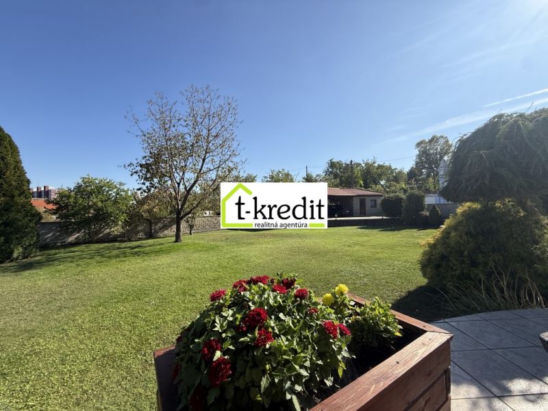 The garden of a family house in Zlaté Moravce with blooming flowers and trees.