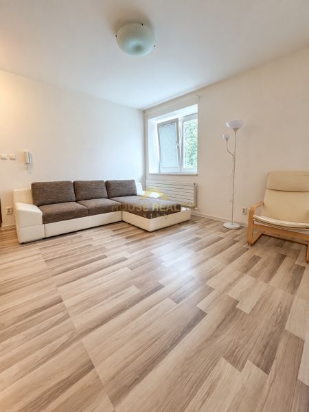 Studio apartment with a sofa, armchair, and wooden decor flooring, light walls.