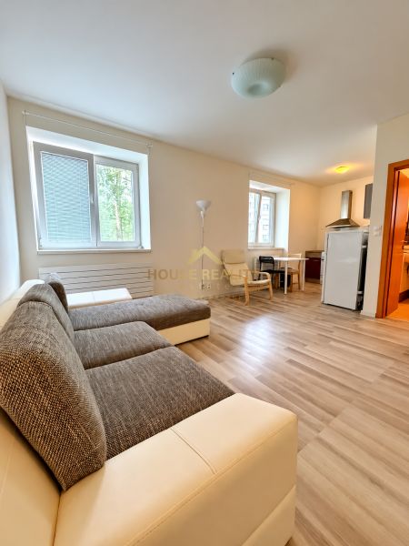 Studio apartment with wood-patterned flooring, a sofa set, and a kitchenette.