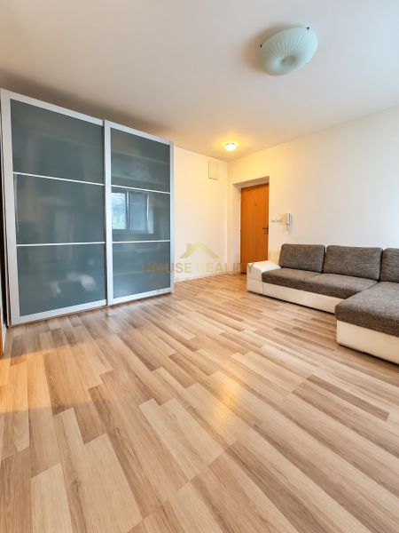 Studio apartment with wood-patterned flooring, built-in wardrobe, and comfortable sofa.