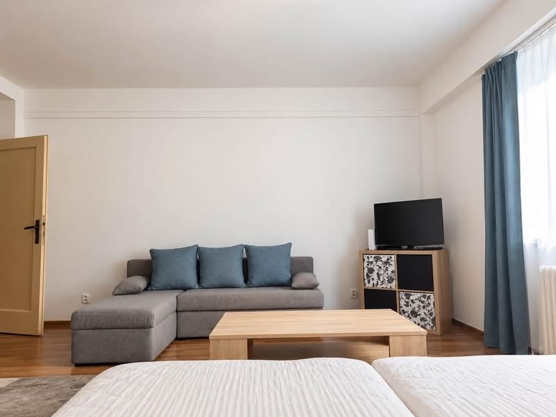 A stylish living area in a studio apartment with a sofa and TV, wooden decor flooring.