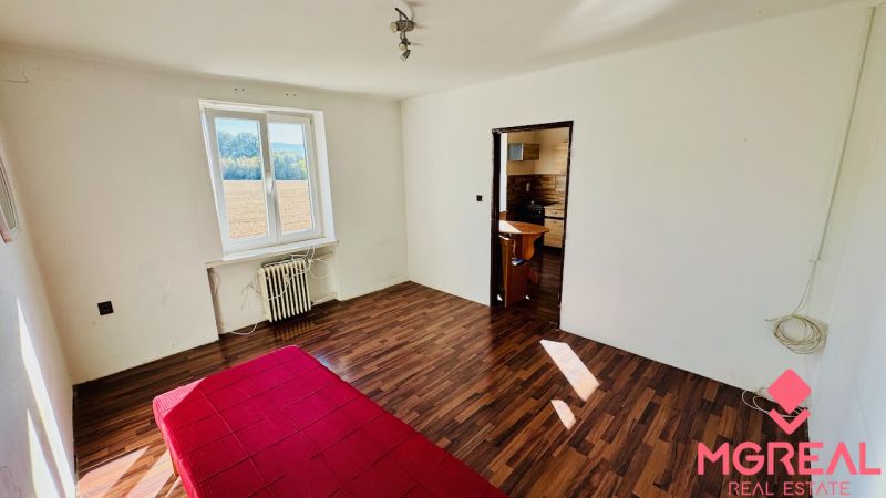 A room with a wooden floor design and a view into the kitchen in a studio apartment.