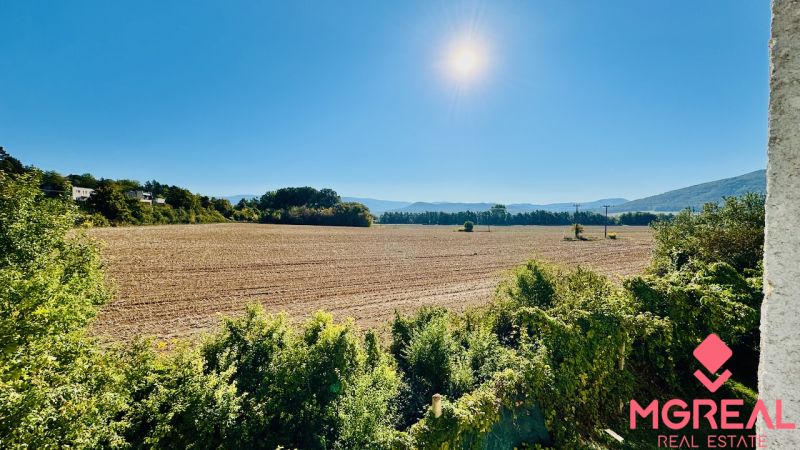A vast field in Malé Kršteňany under a blue sky, surrounded by greenery and sunshine.