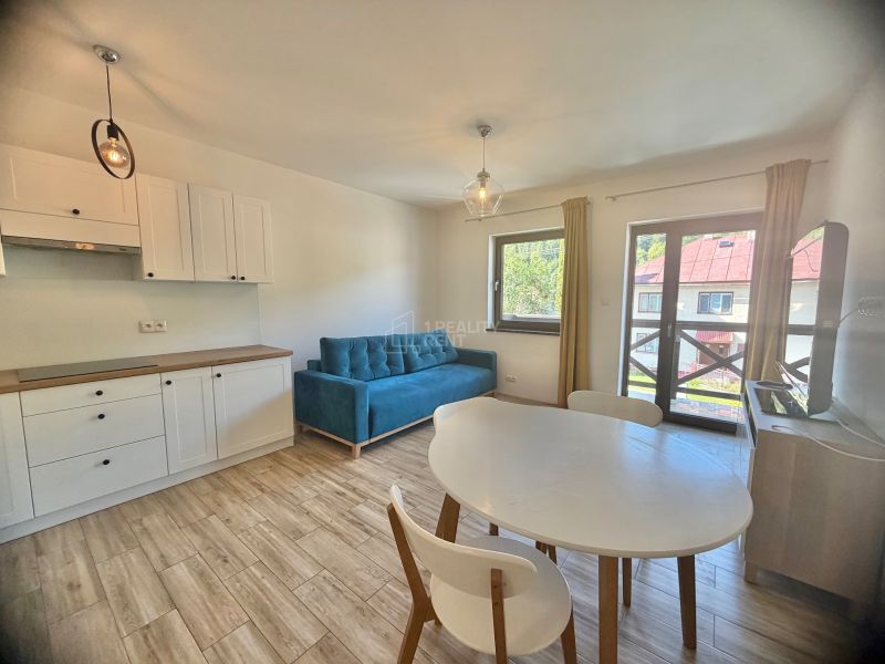 Interior of a 1-room apartment with a sofa, dining table, and wooden decor flooring.