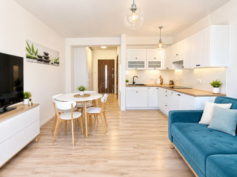 Living room and kitchen in a studio apartment with a wooden decor floor.