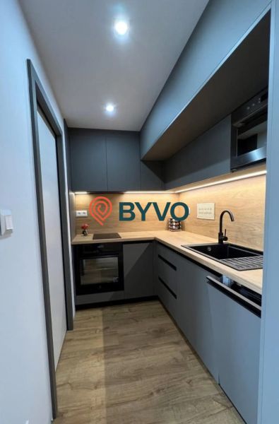 A kitchen in a studio apartment with a wood-patterned floor, gray cabinets, black sink.