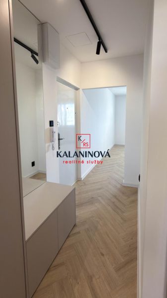 A hallway with a mirror and a wooden decor floor in a 4-room apartment.