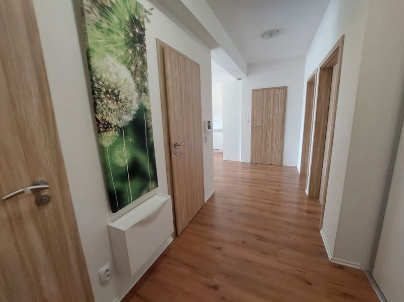 A hallway in a 3-room apartment with a wooden decor floor and a picture of a dandelion.
