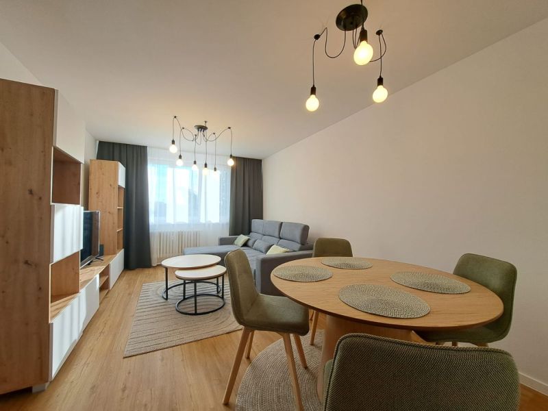Living room in a two-room apartment with a comfortable sofa and a wooden decor floor.