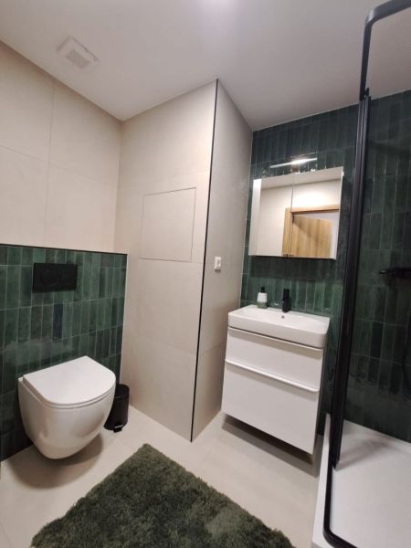 Bathroom in a 2-room apartment with dark green tiles and white sanitary ware.