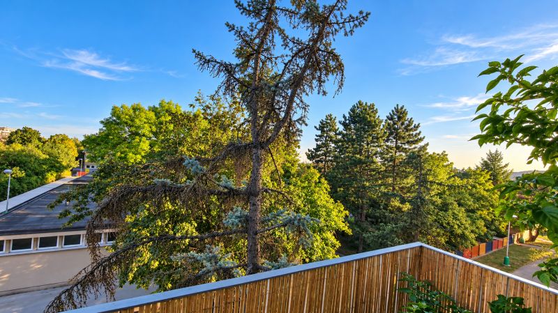 View from a 3-room apartment on Za hradbami Street in Pezinok surrounded by greenery.