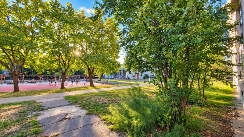 A park with greenery and a walkway next to the sports field on Za hradbami Street in Pezinok.