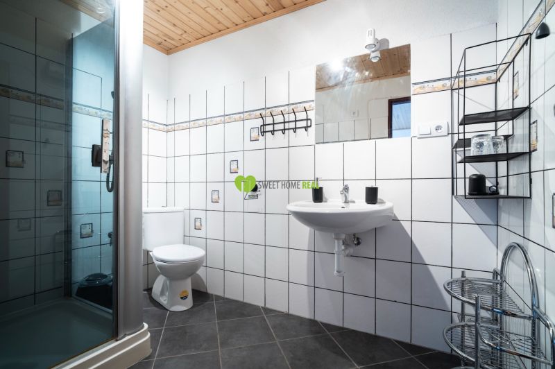 Bathroom with toilet and shower, hotels and guesthouses, tiles with decorative pattern.