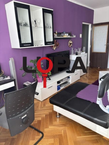 Living room in a two-room apartment with a sofa and furniture, floor with wooden decor.
