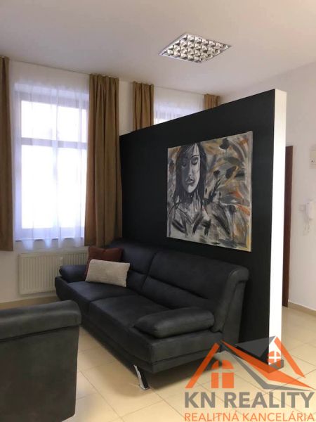 Living room in a two-room apartment with a sofa and a picture on the wall.