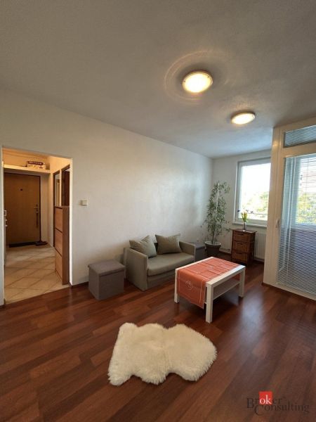 Living room in a two-room apartment with a wooden decor floor and a sofa.