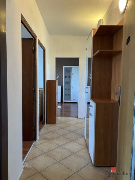 A hallway in a 2-room apartment with a wood-patterned floor and cabinets.