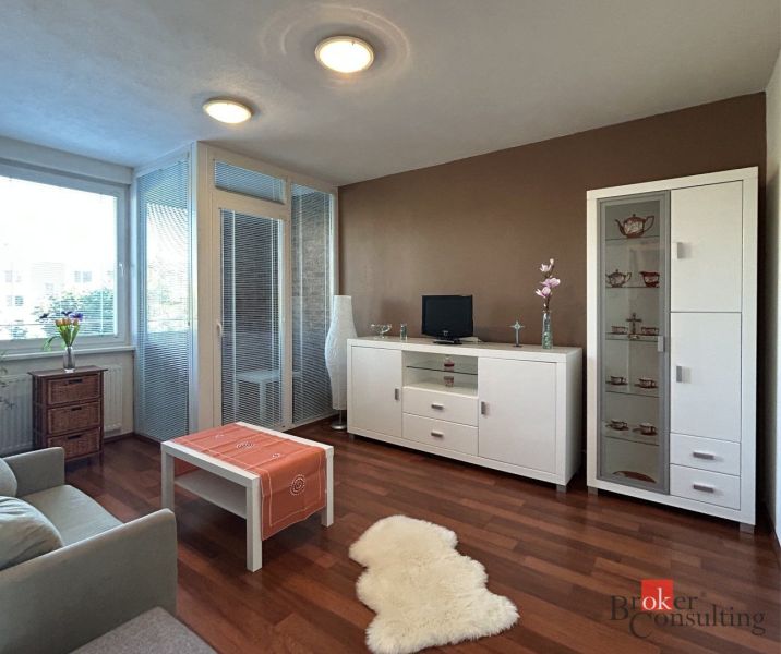 Living room with wood-patterned flooring, white furniture, and glazing in a two-room apartment.