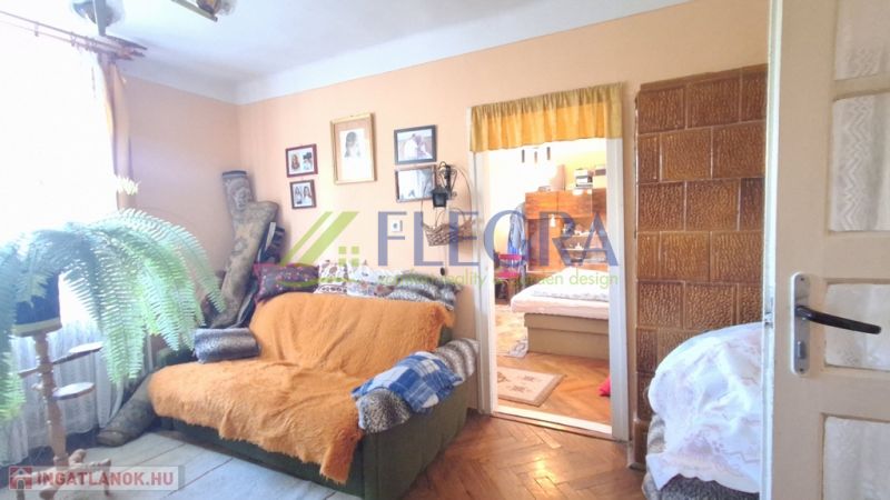A room in a family house with a sofa, decorations, and wooden decor on the floor.