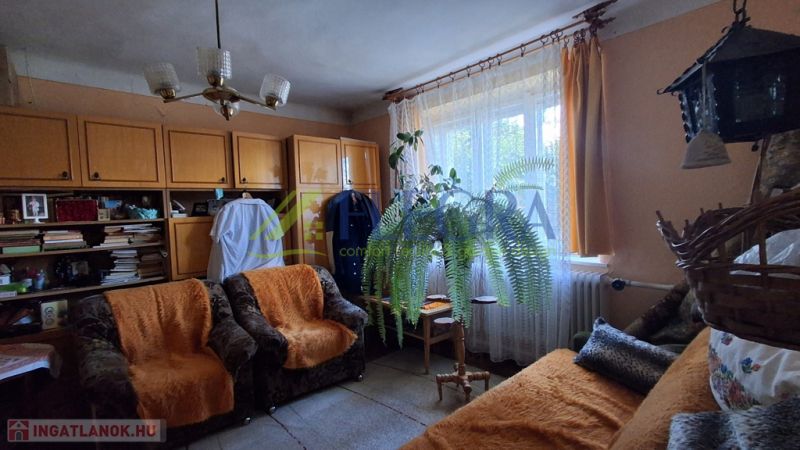 Living room with sofas, curtains, and a plant in a family house.